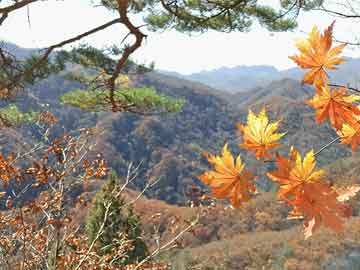 澳彩資料圖庫(kù)區(qū)	正廳級(jí)李成武任上主動(dòng)投案
