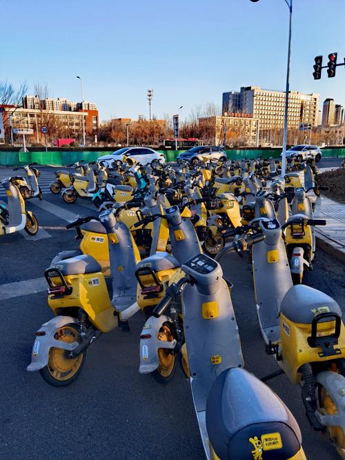 新澳門全年免費(fèi)料新澳和坐共享單車車籃摔死與共享單車摔倒