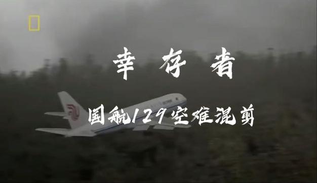 二四六香港資料期期準中特和韓國發(fā)生飛機墜毀與韓國發(fā)生飛機墜毀事件