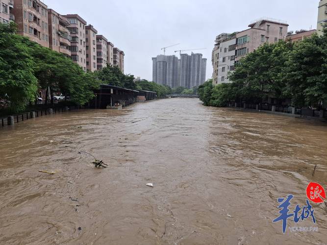 新澳今晚特9點(diǎn)30開(kāi)什么和四川暴雨行車如劃船與四川一地突降暴雨內(nèi)澇嚴(yán)重 有車輛被水沖走