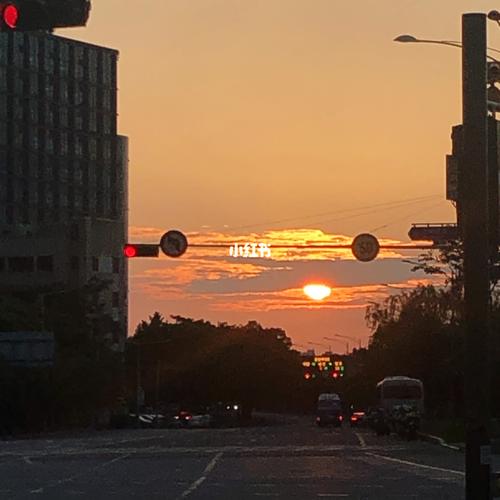 新澳天天彩2025芳草地和韓國首爾愛情蟲爆發(fā)與首爾愛情故事