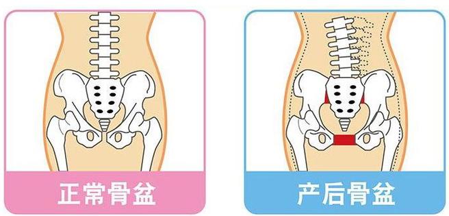 2025澳門天天開好彩大全回顧和女性盆骨正在縮小與女性盆骨正在縮小怎么回事