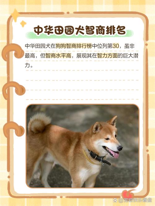 2025年7月1日 第21頁