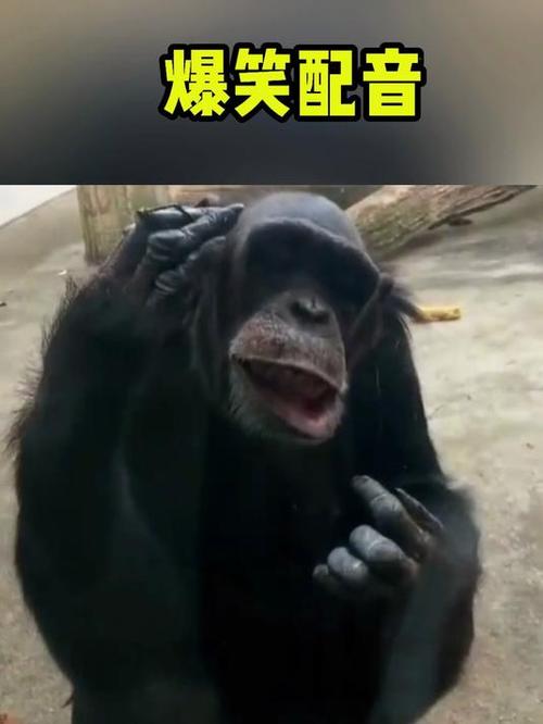 2025年7月3日 第120頁