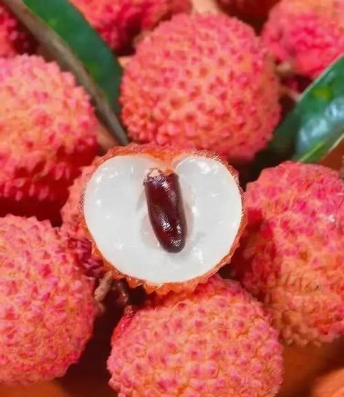 新門內(nèi)部資料免費提供大全(最新章節(jié))和一棵樹結30種荔枝與一棵樹結30種荔枝的故事