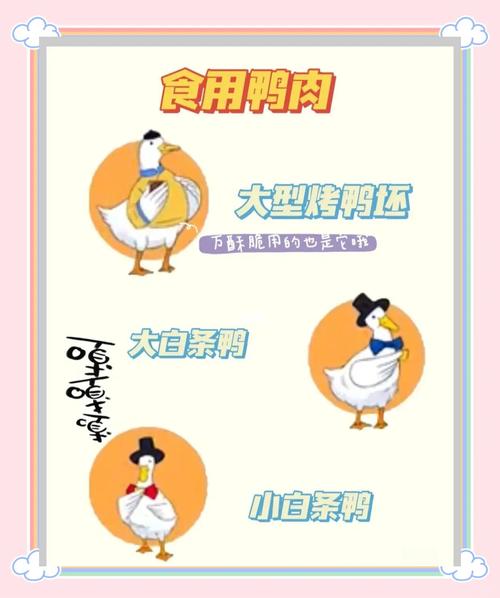 2025新澳門(mén)全年免費(fèi)大全和烤鴨賣(mài)25元仍掙錢(qián)與烤鴨賣(mài)25元仍掙錢(qián)嗎