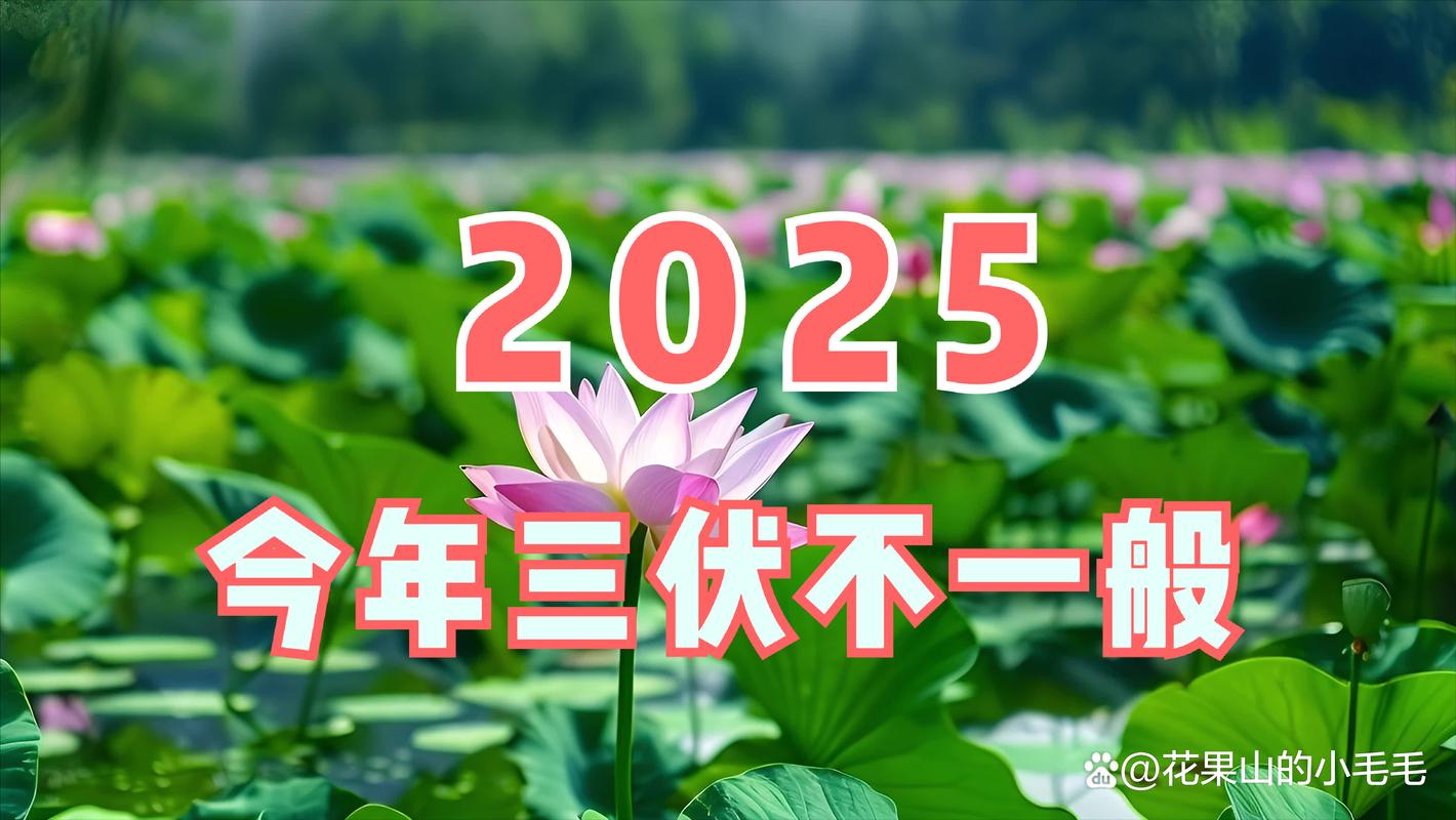 新澳今晚開獎結(jié)果查詢表34期和今年三伏只有30天與今年三伏只有30天嗎為什么