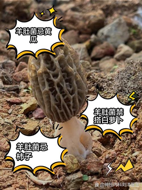 2025年7月7日 第110頁