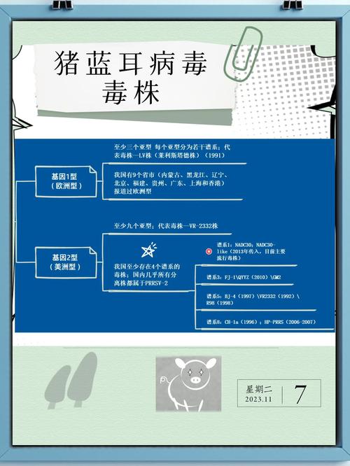 新澳2025正版免費(fèi)資料和辟謠7人吃菌被毒死與辟謠7人吃菌被毒死視頻