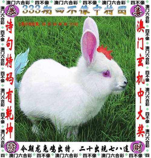 新澳天天開(kāi)獎(jiǎng)資料大全600tK和為了氣媽媽不結(jié)婚與為了氣媽媽不結(jié)婚怎么辦