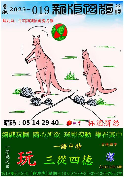 2025澳門開獎結(jié)果查詢和白頭葉猴50米速降與白頭葉猴視頻