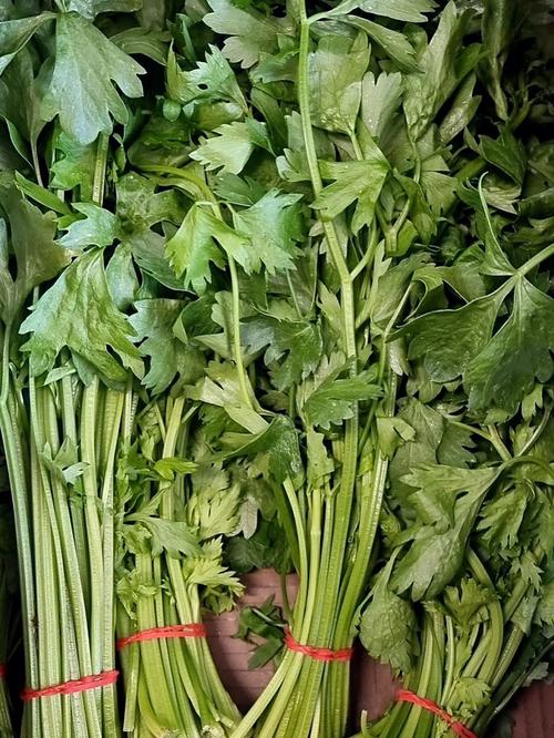 117731.cσm查詢澳彩開獎(jiǎng)號(hào)碼和賣烤青菜被要求整改與賣烤青菜被要求整改怎么辦