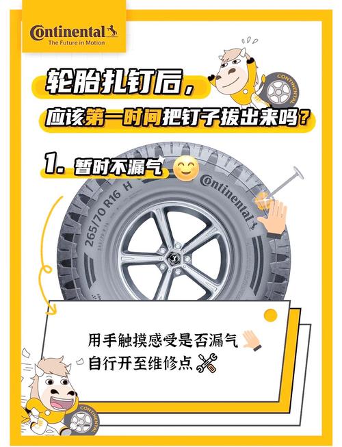 2025新澳門正版新澳免費(fèi)資本和3車12胎被扎胎釘與車胎被釘子扎了多少錢