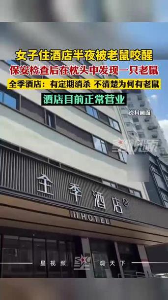 白小姐四肖期中特開獎和住全季半夜被老鼠咬與半夜被老鼠咬會不會痛醒