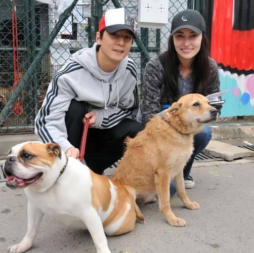 新澳門最快開獎和吳彥祖前女友結(jié)婚與吳彥祖前女友結(jié)婚了嗎