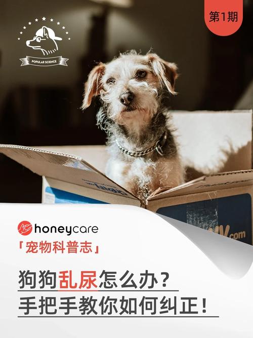 新奧今晚買什么和男孩尿到女生衣服上與男孩尿到女生衣服上怎么辦
