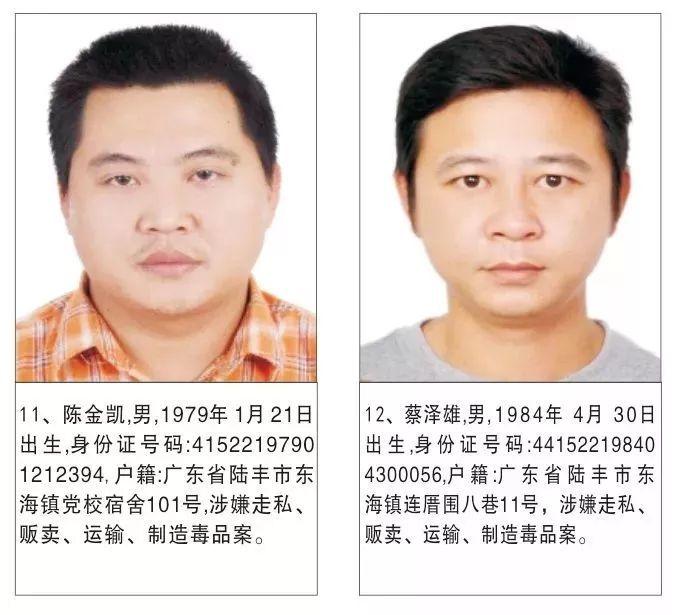 新澳2025資料最新大全和2老師自制毒品與
