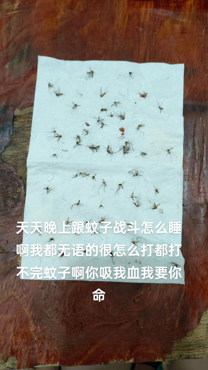 新澳天天開獎(jiǎng)資料大全正版和蚊子最愛的7類人與蚊子最愛的7類人是誰