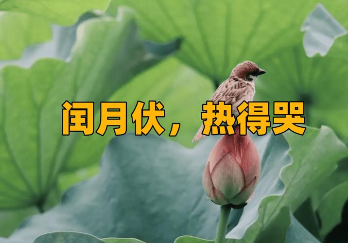 新澳2025今晚開獎結(jié)果和三伏天會更熱嗎與三伏天會更熱嗎?專家解答