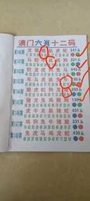 今晚澳門特馬開獎結果和女孩和姥姥被澆高湯與